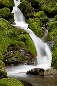 Falls Creek Cascade